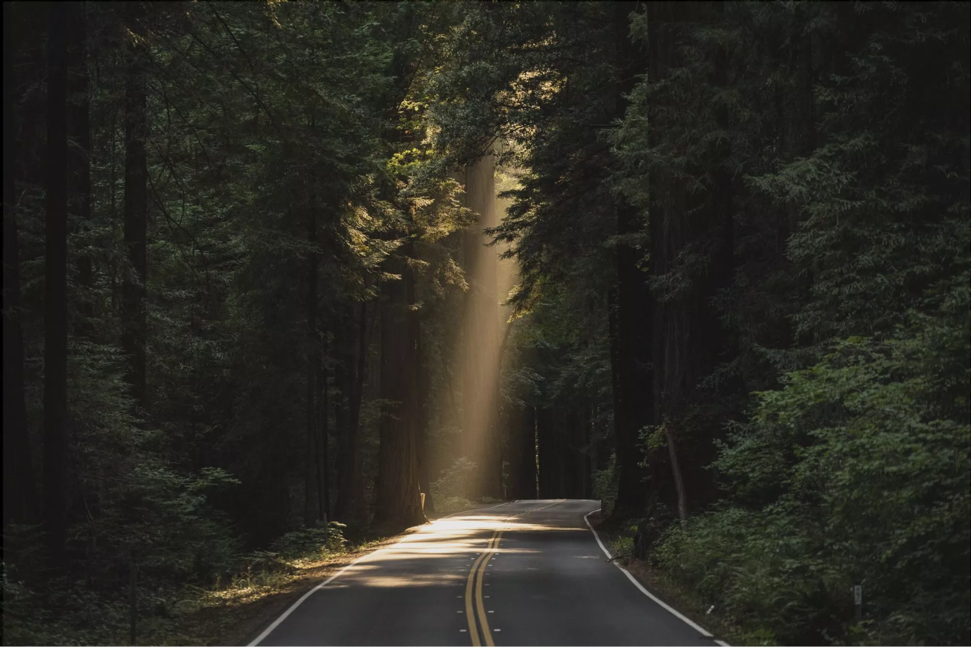 Two-lane road surrounded by forest with ray of sunlight hitting it