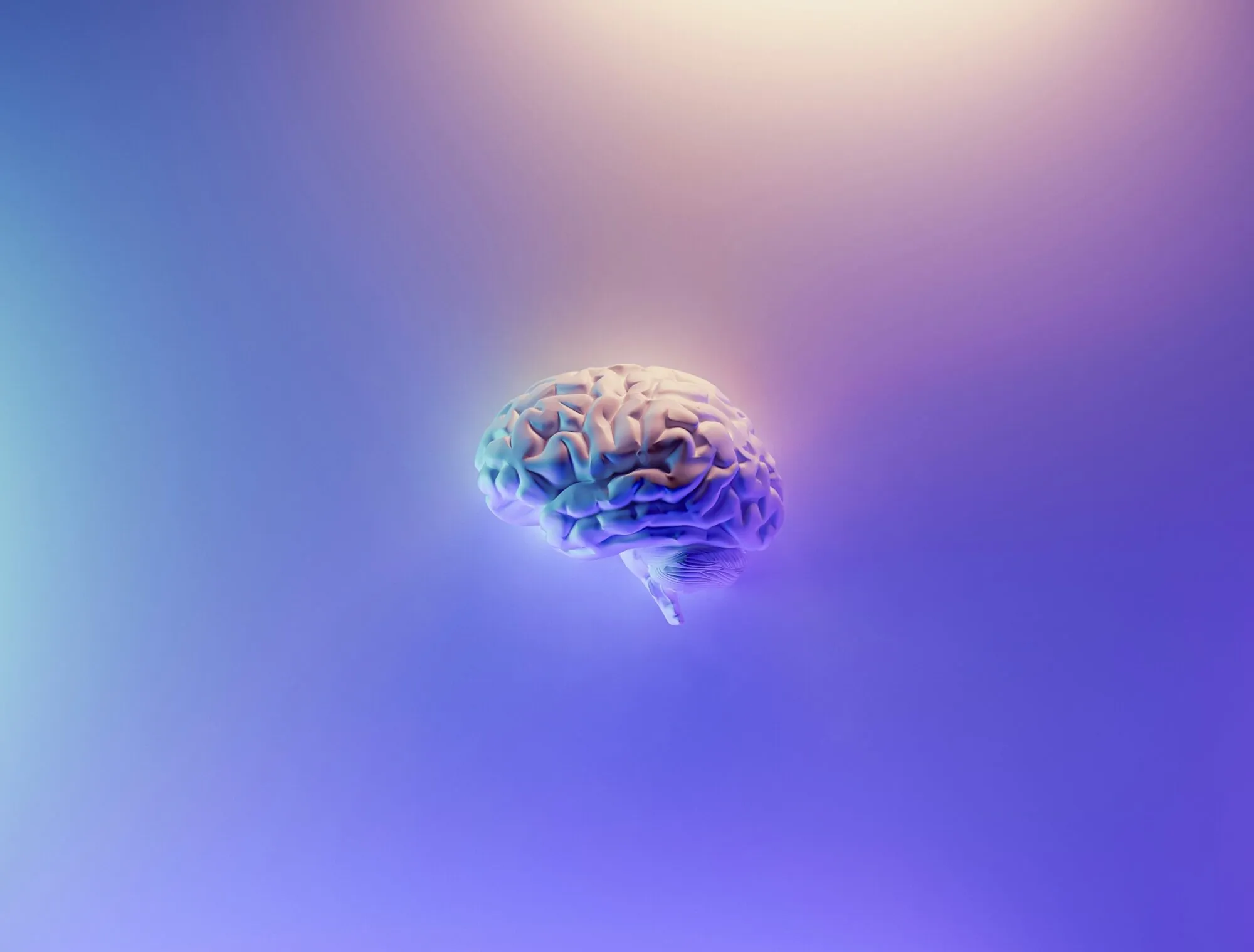 3d rendered brain